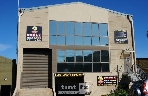 Commercial Window Tinting - Solar Window Film - Solar Gard Stainless Steel 10 - Retail Showroom - Doggy Day Care Brookvale