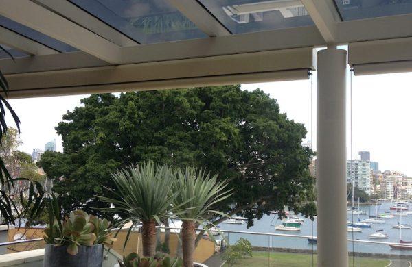 Residential Window Tinting - Solar Window Film - Solar Gard Stainless Steel Sentinel Plus 25 - Darling Point - 04