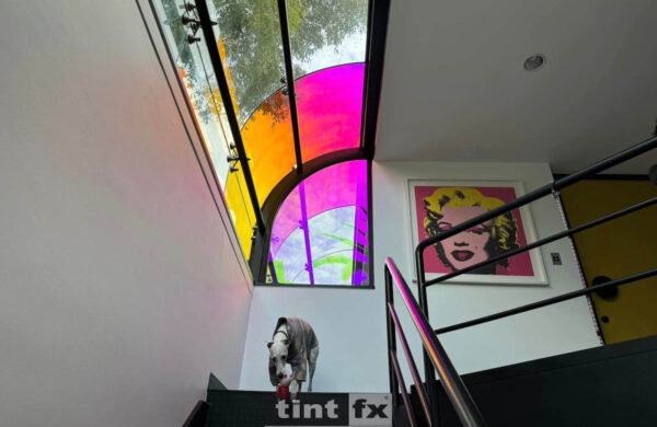 Sydney Residential Window Film - Decorative Window Film - 3M™ Dichroic Glass Finishes DF-PA Chill - Northwood - TintFX