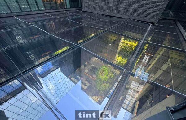 Commercial Window Tinting - Solar Window Film - 3M Prestige 40 Exterior - glassroof - Capella Sydney - TintFX